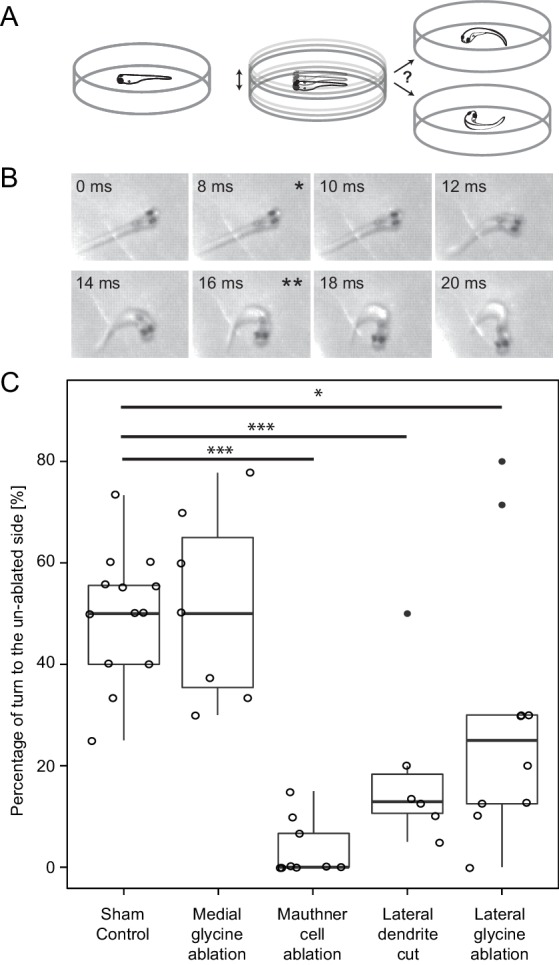 Figure 10.