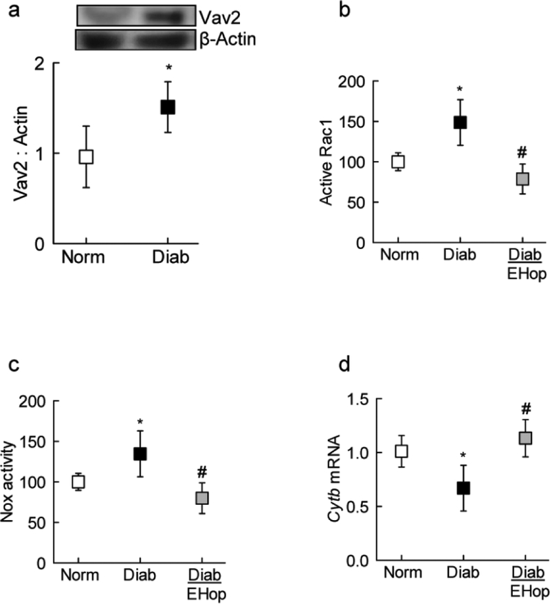 Figure 4: