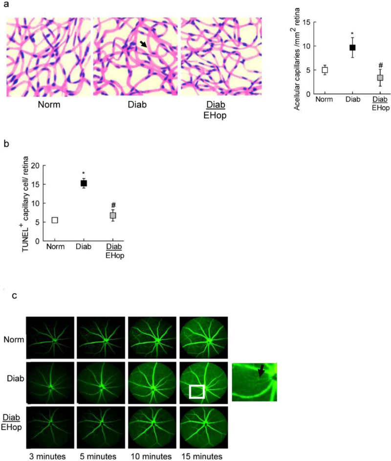 Figure 5: