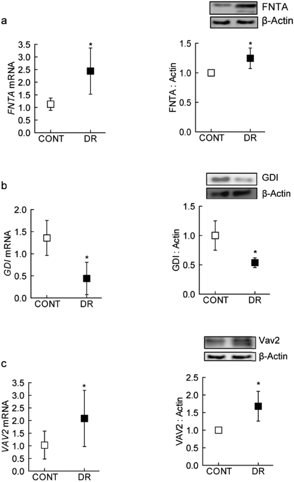 Figure 7: