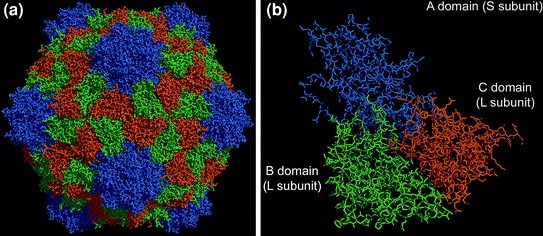 Fig. 1