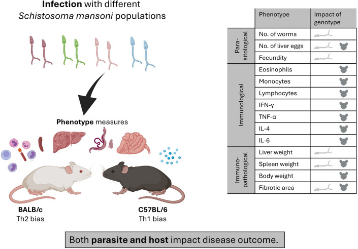 graphic file with name 13071_2024_6286_Figa_HTML.jpg