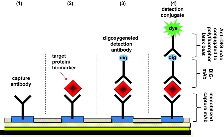 Fig. 2