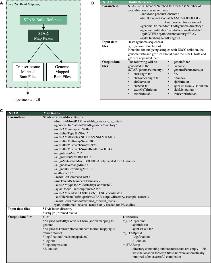 Figure 3