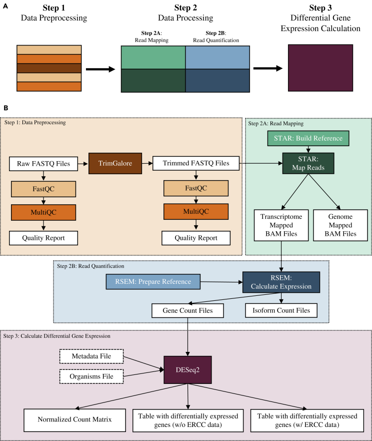 Figure 1