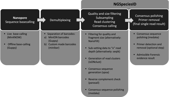 Figure 2.