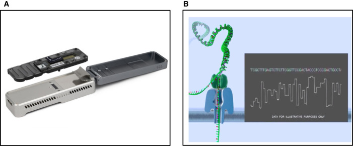 Figure 1.