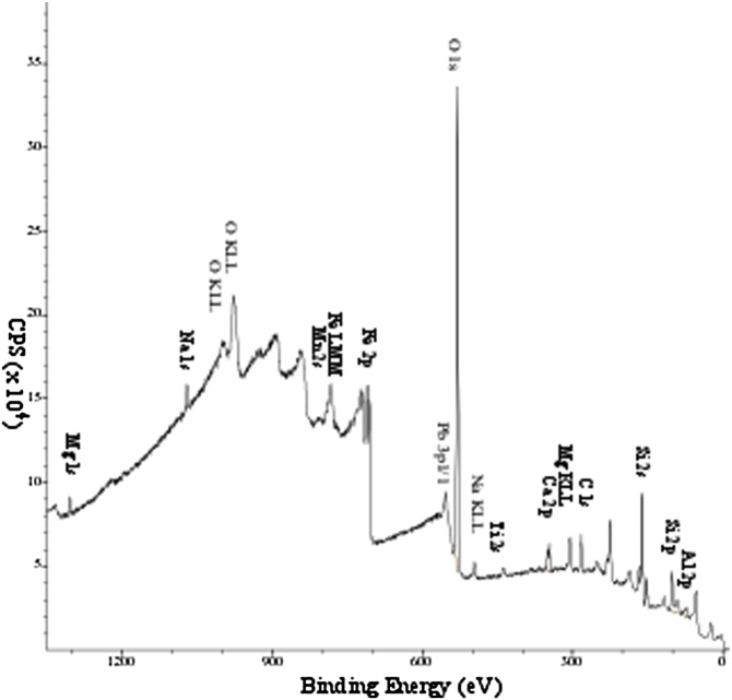 Fig. 2