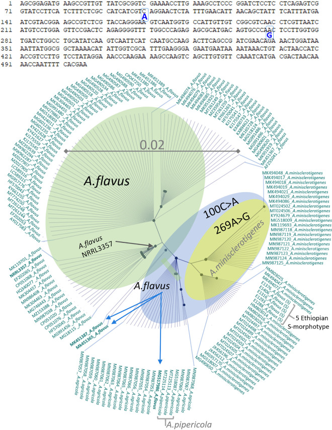 FIG 1