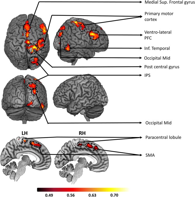 Fig. 6