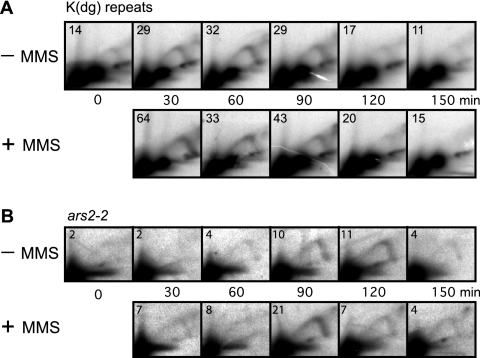 FIG. 3.