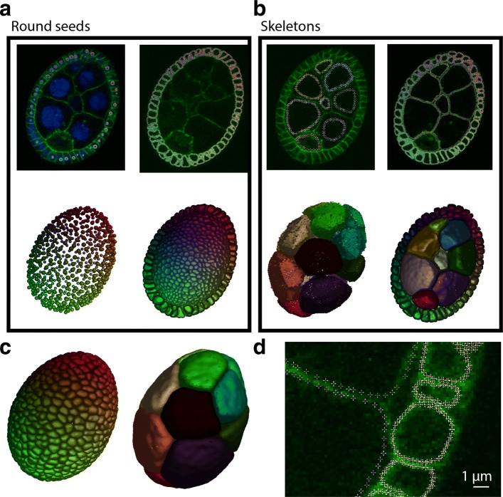 Fig. 6