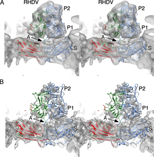 FIG. 3.