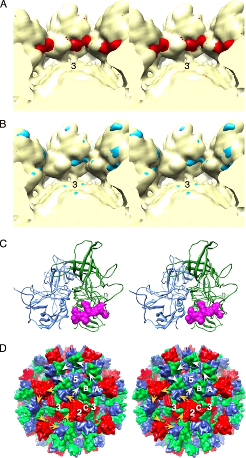 FIG. 4.