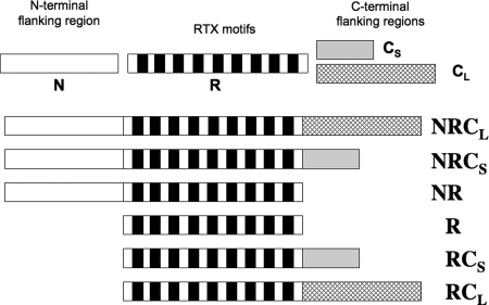 FIGURE 1.