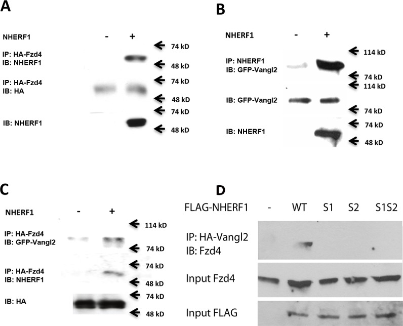 Fig 9