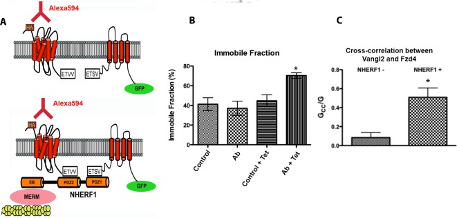 Fig 10