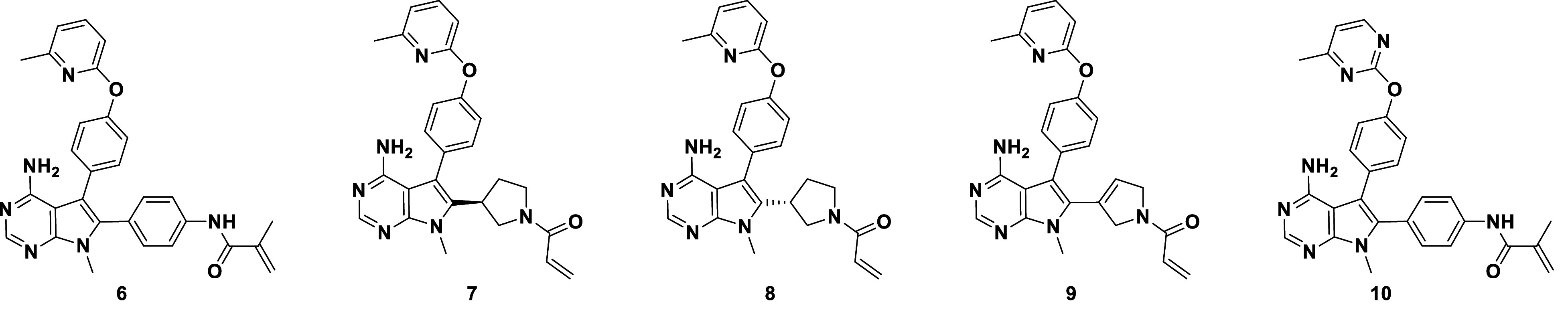 graphic file with name pnas.2317756121unfig02.jpg