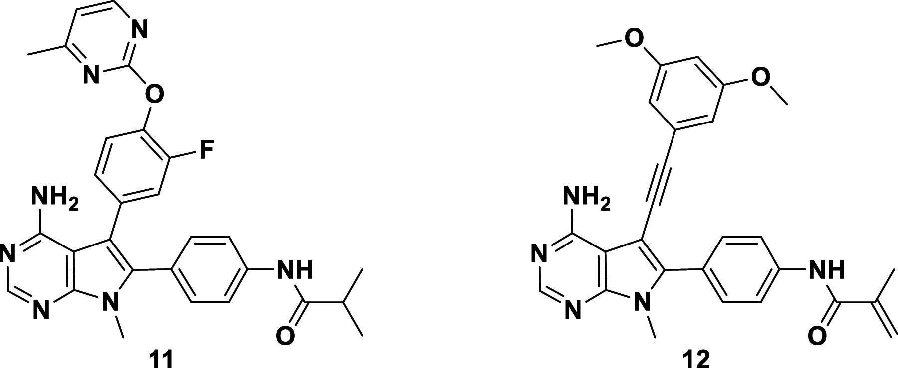 graphic file with name pnas.2317756121unfig03.jpg