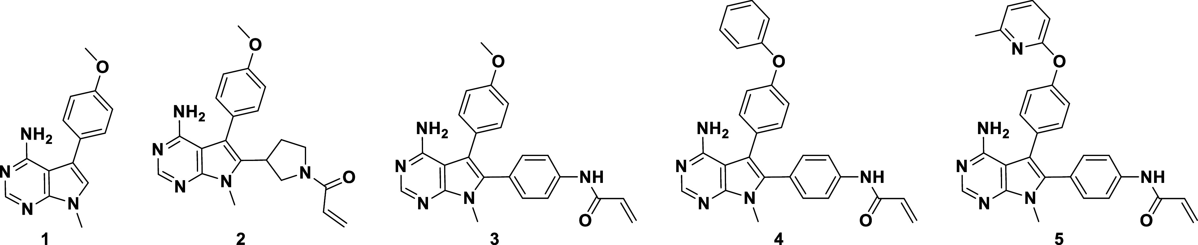 graphic file with name pnas.2317756121unfig01.jpg