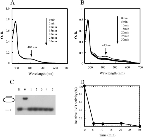 FIGURE 4.