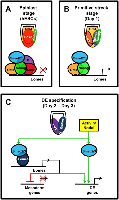 Figure 7.