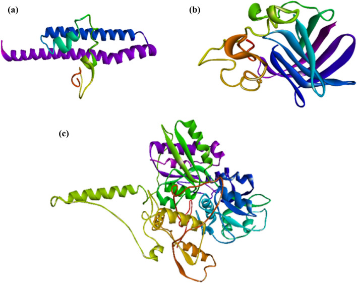 Fig. 7