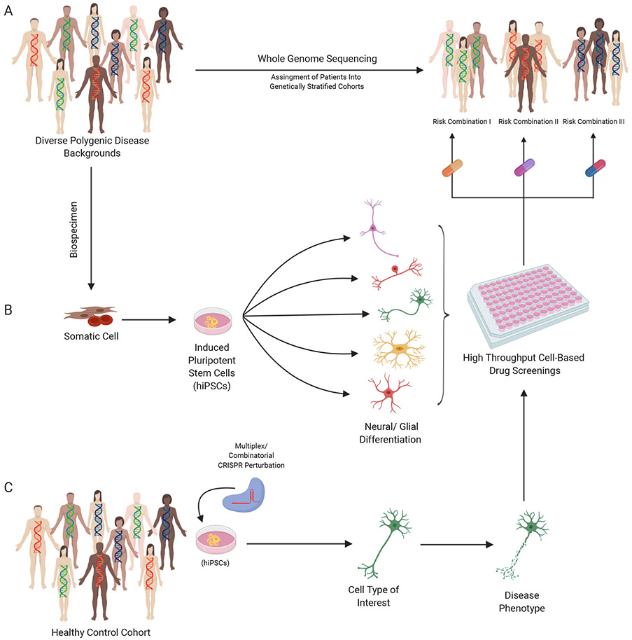 FIGURE 3: