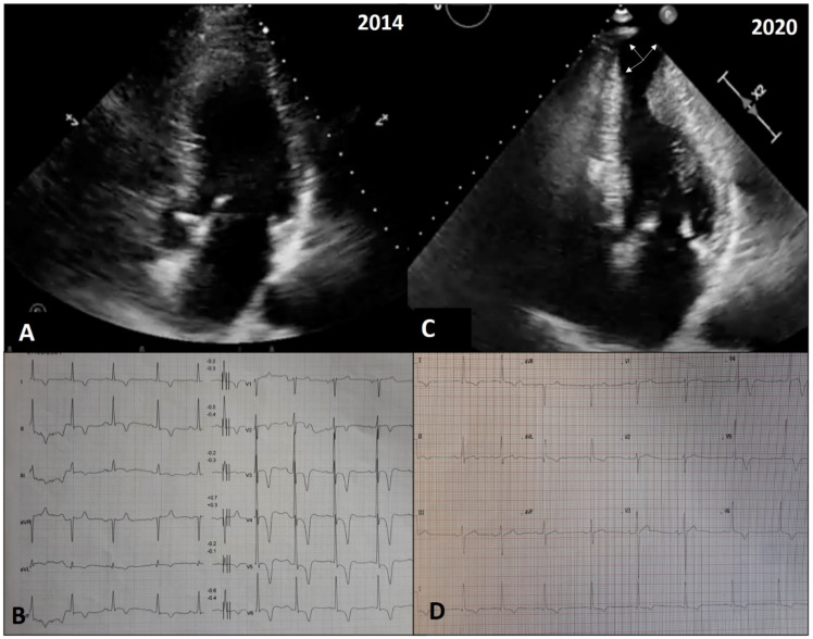 Figure 6