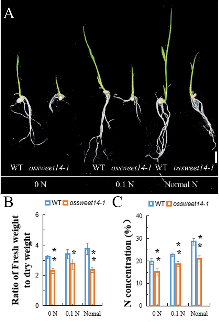 FIGURE 3