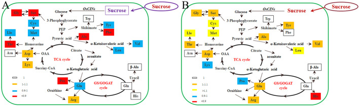 FIGURE 6