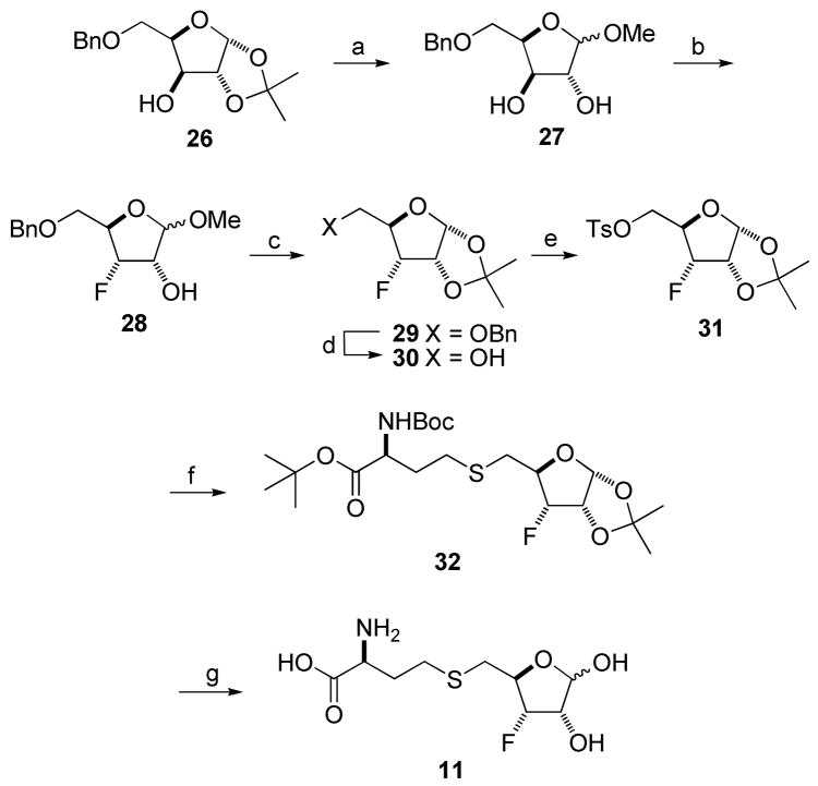 Scheme 4