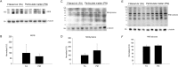 Fig 10