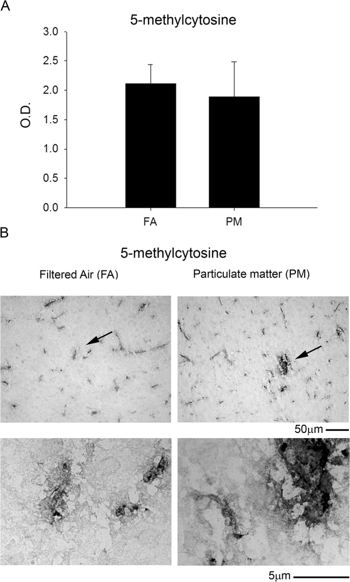 Fig 11