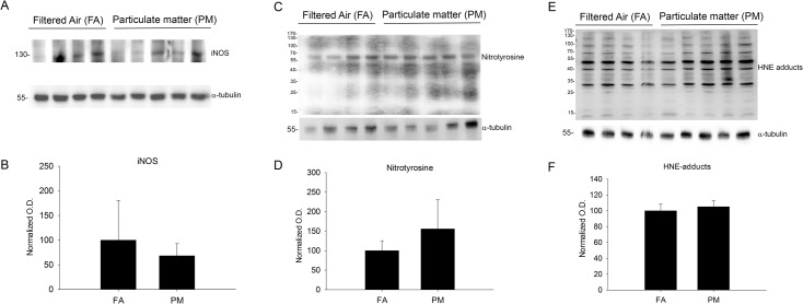 Fig 10