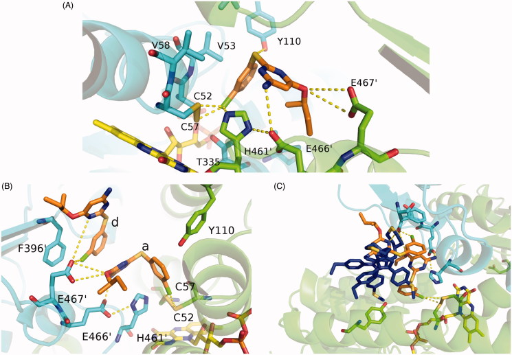 Figure 5.