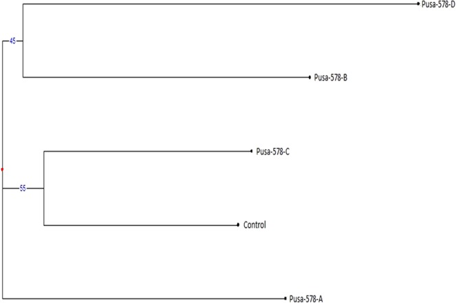 Figure 16