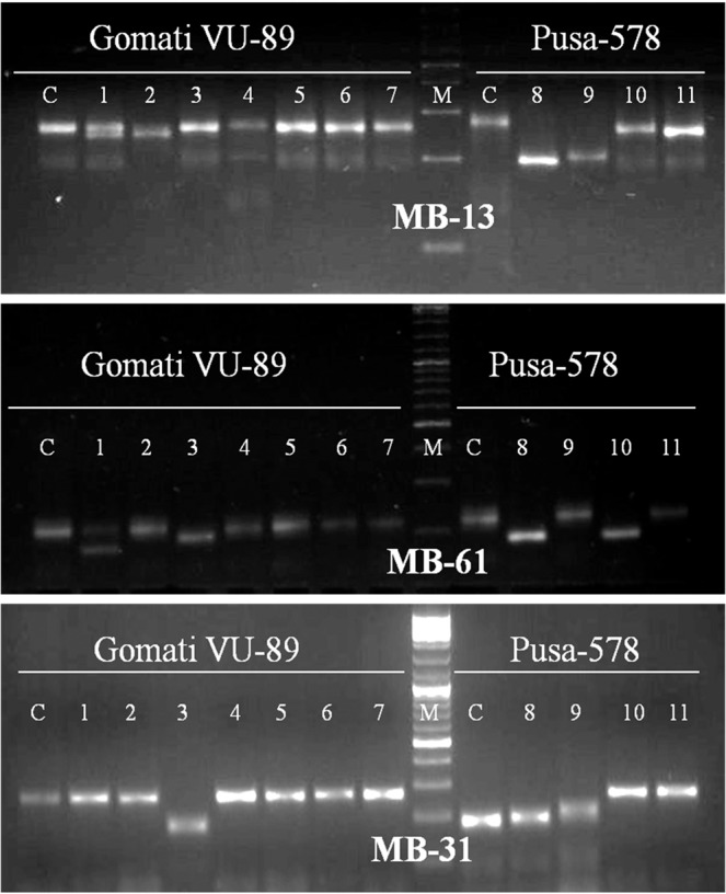 Figure 9