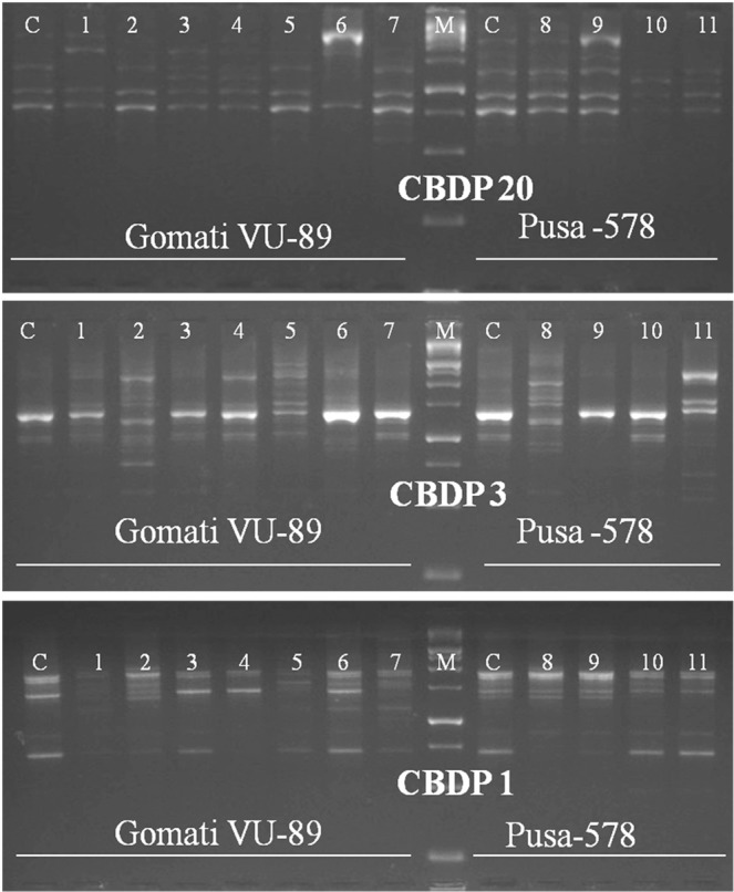 Figure 12