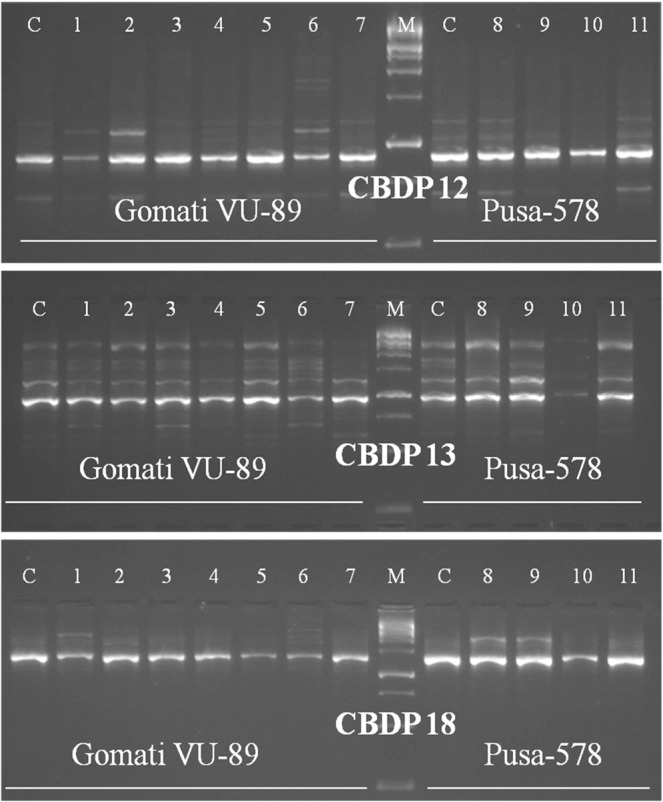 Figure 11