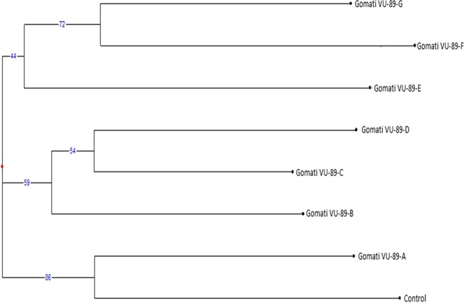 Figure 15