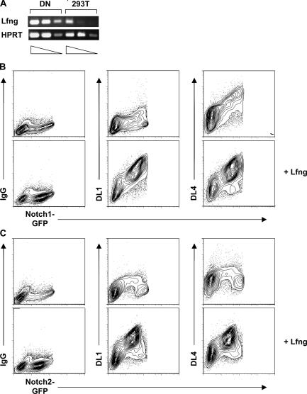 Figure 7.