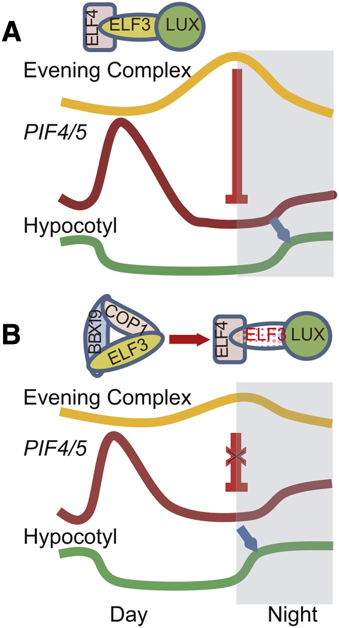 Figure 10.