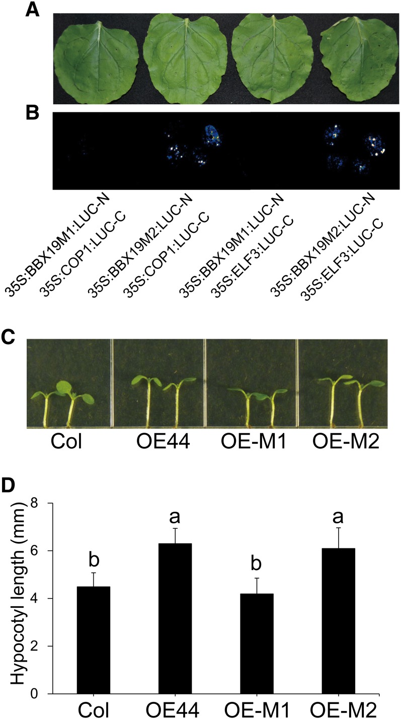 Figure 6.