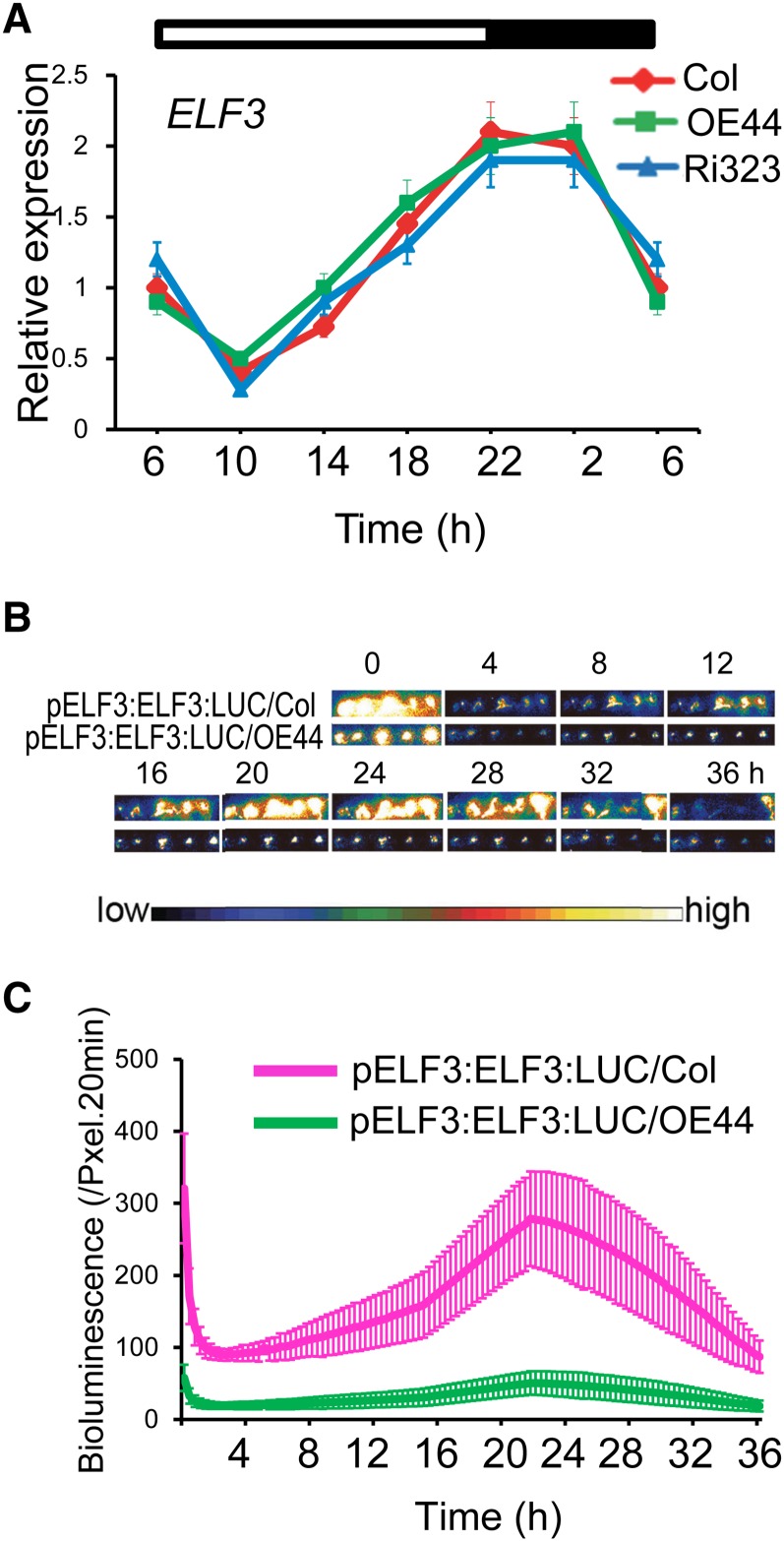 Figure 7.