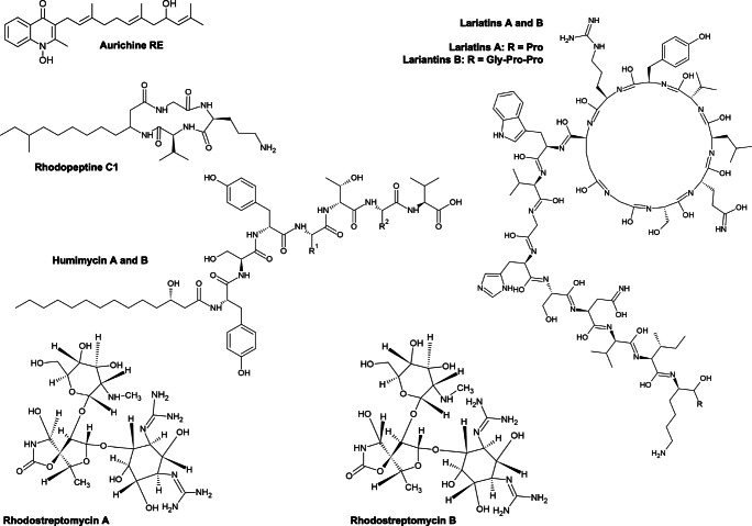 Fig. 6