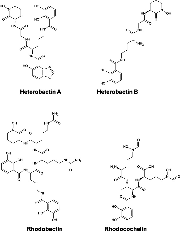 Fig. 7