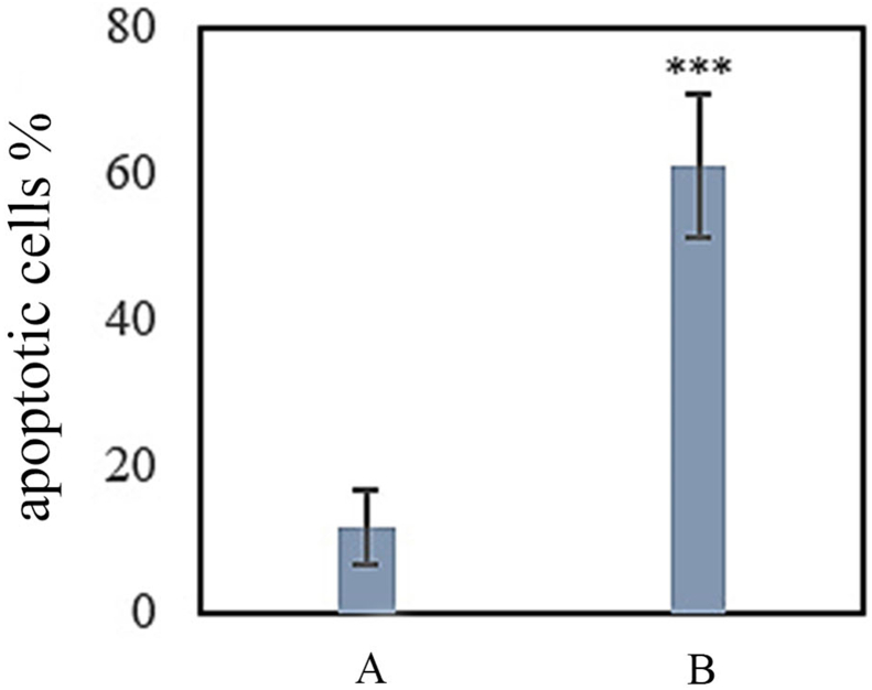 Chart 4