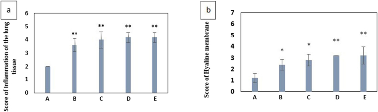 Chart 5