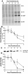 FIG. 6.